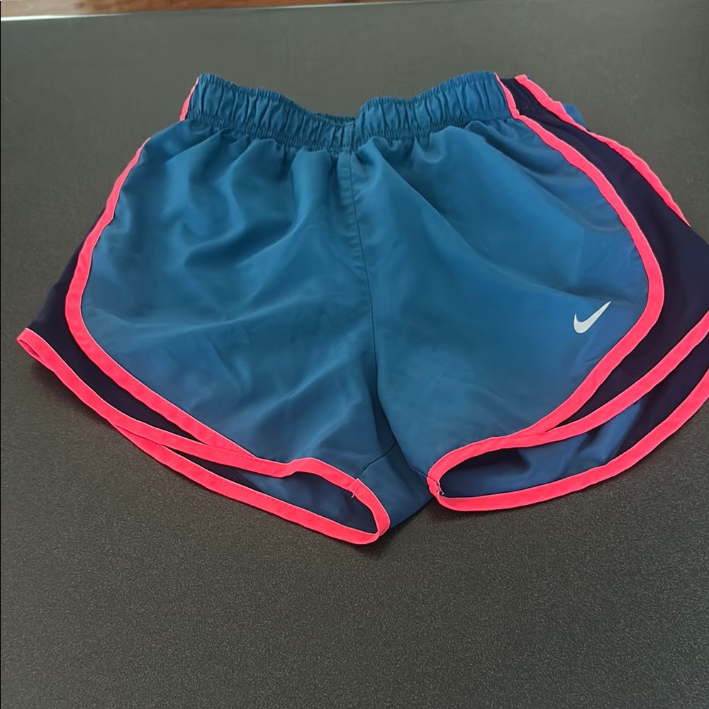 Nike Blue and Pink Athletic Shorts with Elastic Waistband